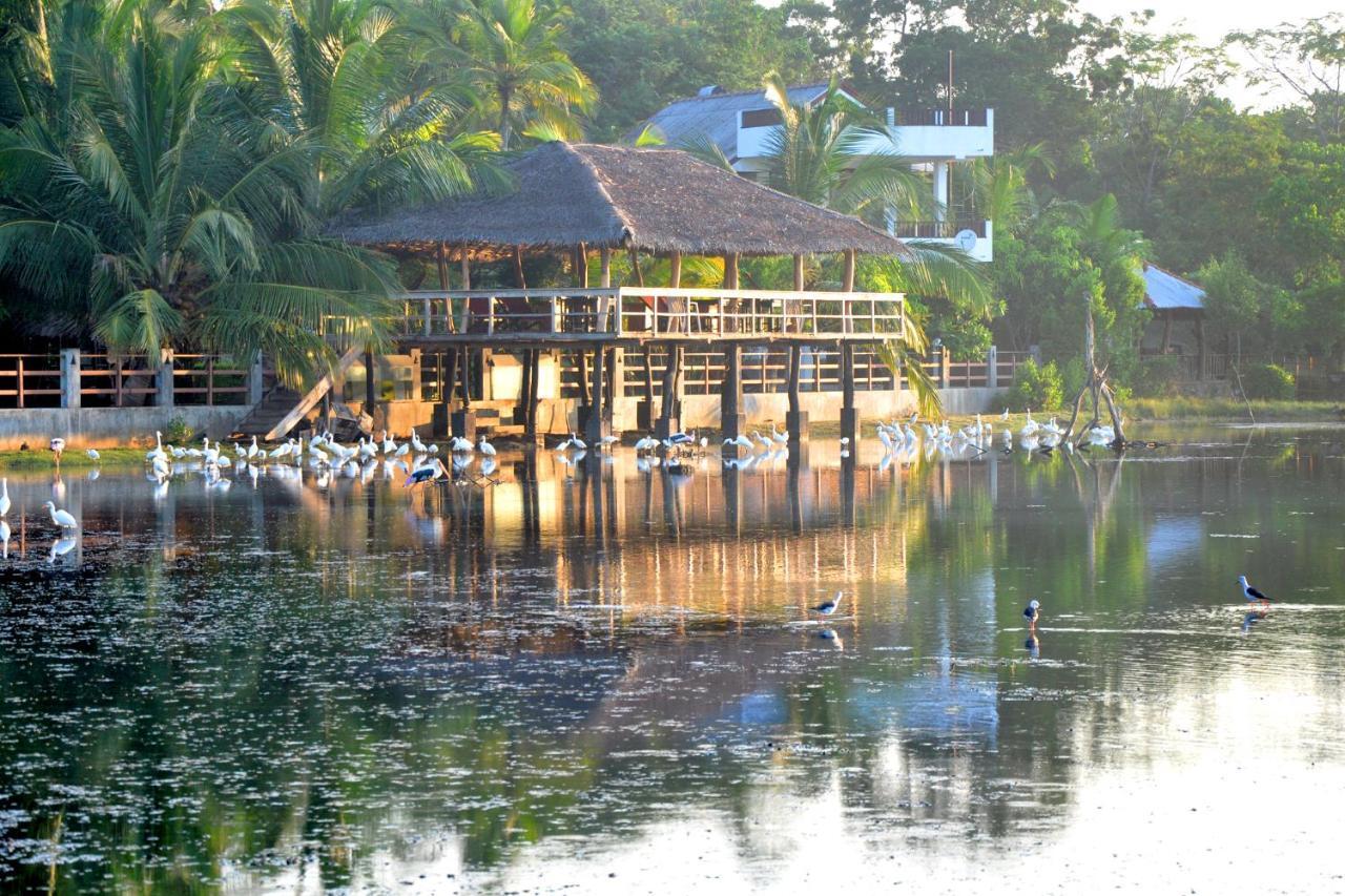 Rock Pool Residence Tangalle Exterior photo